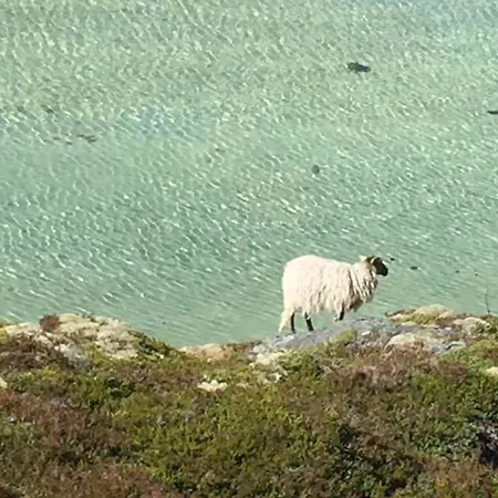 Steigen Sjohytter Gerendaház Engeløya