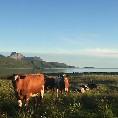 Steigen Sjohytter *